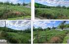 Teren Gaiceana, cota parte 1/2 , ID: R3192477 - 5