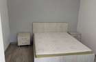 Se inchiriaza apartament cu 2 camere Nufarul - 3