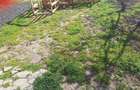 Ap cu 3 camere de vanzare,zona Traian - 8