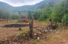 Teren de 5000 mp, în Borlova - 3