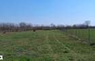 Teren intravilan - 3.000 mp , zona linistita - 1