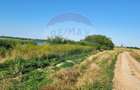 Oportunitate investitie - Potential dezvoltare -Teren 9843 mp Crevedia - 1