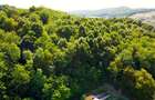 Distinctiva resedinta, Corunca, Targu Mures