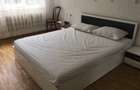 Apartament cu 2 camere de inchiriat in zona Drumul Taberei - 4