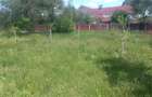 2 terenuri de Vanzare - 5