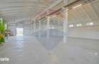 Spa?iu industrial de 1716 mp de vanzare Sfantu Gheorghe