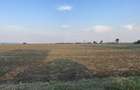 Teren intravilan 29 000 mp, Paulesti. DN1. - 3