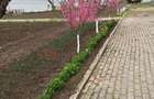 Ferma de vanzare | 3 ha | Intre Bucure?ti ?i Constan?a | Exploata?ie a - 4