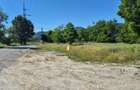 Teren intravilan 900 m2 | Calimanesti| Malul Oltului | Muntii Cozia - 4