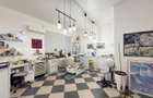 2 Camere - Parter - Stradal | Bd Carol - Armeneaca - Ultracentral - 2