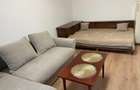 apartament 2 camere de inchiriat- Raul Doamnei