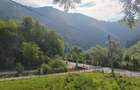 Casa de caramida la rosu, 3765mp teren intravilan, Valea Ariesului, AB - 1