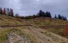 RECO Teren extravilan la Cresuia, Stana de Vale - 4