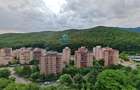Inchiriem Apartament 2 Camere, Partial Mobilat, Open Space, Racadau - 17