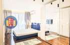 Dristor 10`Metrou CaleaDudesti Alba Iulia Centrala Terasa PetFriendly - 6