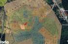 ?INVESTI?IE RE?I?A: 1.15 Ha in Driglova?-Natura,Poten?ial Forestier - 4