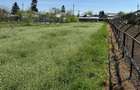 Vand teren intravilan JILAVA Str MORII 2650 mp