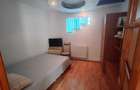 Casa de vanzare, 5 camere, ultracentral, 400 m de Piata Civica, teren 384 mp, full mobilat, toate utilitatile - 6