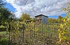 Priveliste de vis, 5 camere, anexe, 7000 mp, de mutat, comision 0%! - 11