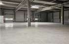 Spatiu Industrial - 4600 mp - Productie - Depozitare - Distributie - 11