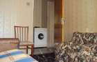 Obor, Colentina, Teiul Doamnei