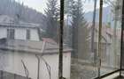 Apartament cu 2 (doua)camere de vanzare in Busteni - 1