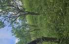 Vand teren intravilan - 1