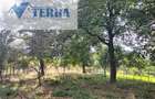 Casă și anexă gospodărească - Teren 2.700 mp - Coșești, Argeș