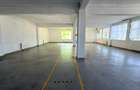 Spatiu industrial 8+ camere zona Central - 4