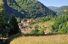 RECO teren extravilan Remeti - 8
