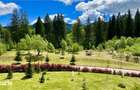 Apartament impecabil 3 cam Silver Mountain - 3