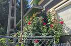 Casa cu 3 camere de vanzare, situata pe un teren de 895 mp, 4 anexe si gradina