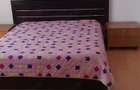Apartament de inchiriat pe BUZAULUI langa Peny - 6