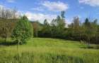 TEREN DE VANZARE IN ZONA DE DEAL | SULTANU | VISINESTI - 4