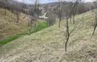 vand 2300m2 teren intravilant comuna secaria - 7