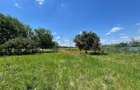 Casa La Tara | 6770Mp Teren | Josani | Bihor | - 15