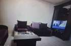 apartament 2 camere mosilor - 3