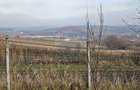 Teren extravilan 10,791mp Falticeni / Strada DJ209A, Opriseni - 6