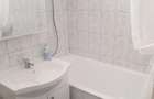 De inchiriat apartament 1 camera in zona Lipovei - Timisoara (Timis)