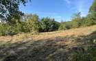 Teren intravilan Dobrovat - 8