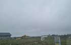 Teren Poarta Alba 16800euro+tva - 1