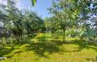 Vila cu teren intravilan, 4.400 mp, Valcele - 3