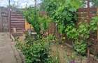 Urgent! Proprietar vând casă în CORABIA la preț negociabil. - 2