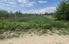 Vand teren 1600 m2, Dragomire?ti Dambovita - 1