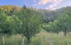 Priveliste superba teren ideal vile sau camping utilitati la strada - 3