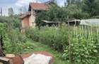 Casă cu 5 camere cu Teren 700 Mp în Goranu