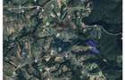 De vanzare casa cu teren ?i padure 55706 mp - ?inteu, Valea Tarnei - 18