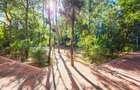 Garsonieră vedere panoramică | Parcul Titanii – Titan, Prisaca Dornei