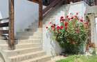 Dambovicioara, Jud. Arges - 6