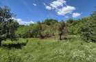Vila de vanzare in Breaza-Nistoresti cu 7068 mp - 54